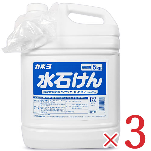 大規模スーパーsale局限バウチャー開板中頃 送料無料 カネヨ石けん 御手々石鹸 水石けん 動体 務め費用 5kg 3個 固化 詰め替え Gullane Com Br