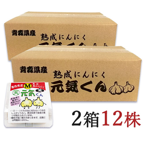 【マラソン限定!最大2000円OFFクーポン配布中!】《送料無料》天間林流通加工 青森県産 熟成黒にんにく 元気くん [Mサイズ × 6個] × 2ケース販売