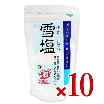 【マラソン限定!最大2000円OFFクーポン配布中!】《送料無料》パラダイスプラン 雪塩 120g × 10袋