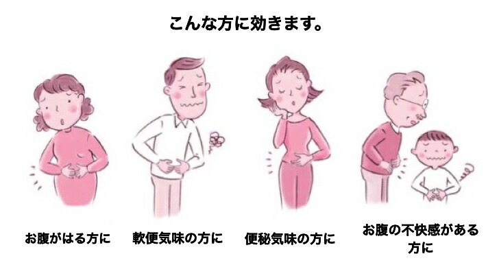 市場 送料無料 2個セット 大幸薬品 指定医薬部外品 ラッパ整腸薬BF