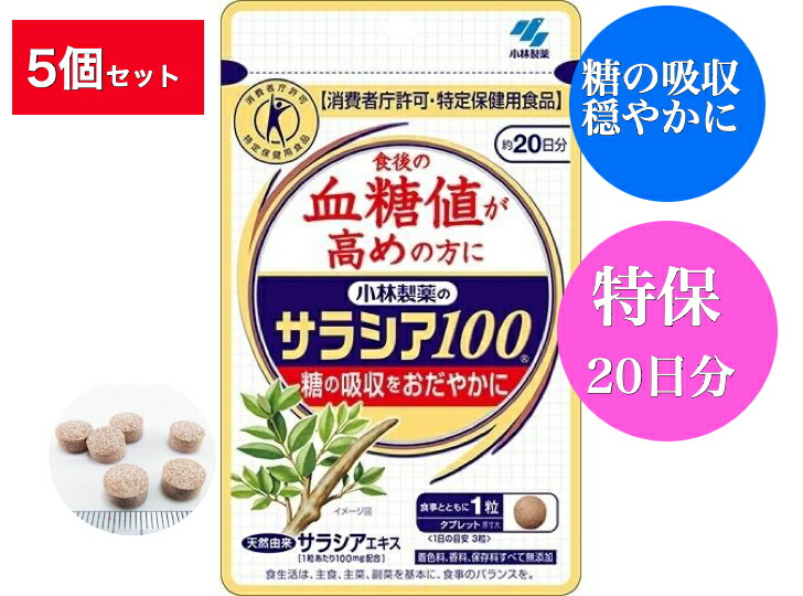貨物輸送無料 5個書き割り 小林製薬のサラシア100(60粒)【小林製薬の営養素かばい立て食料雑貨類】