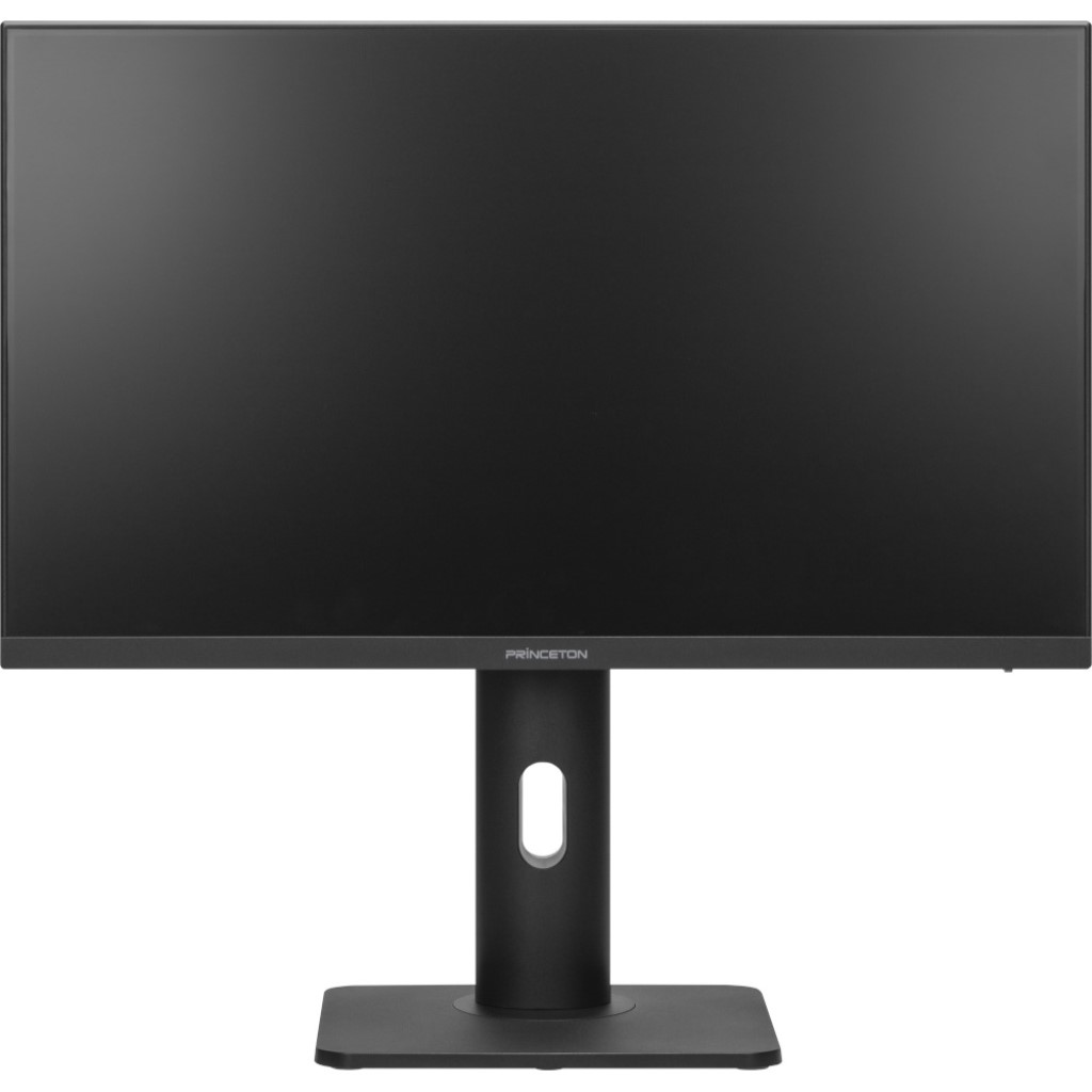 プリンストン大学 [PTF-H241WS-BK] IPS遣りかたダイアログボックスやとい入れる USB Type-C積み上げる 23.8型盛りだくさん固定ディスク液晶見せびらかす 照明ランプ印字機