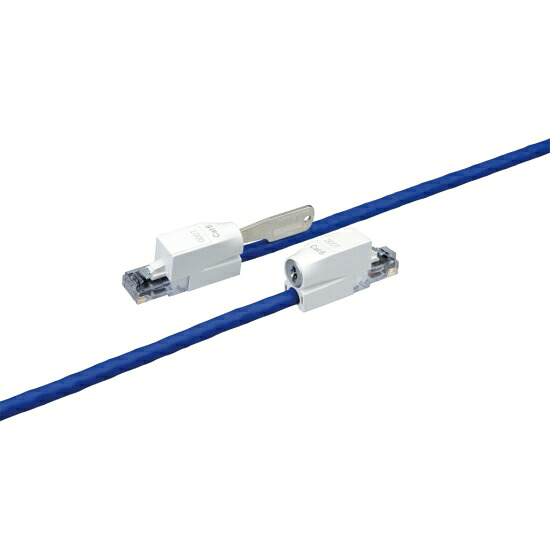 プリンストン大学 [PTC-LP6BU3] CAT6相応う 鍵付ローカルエリアネットワーク有線テレビ(3m)