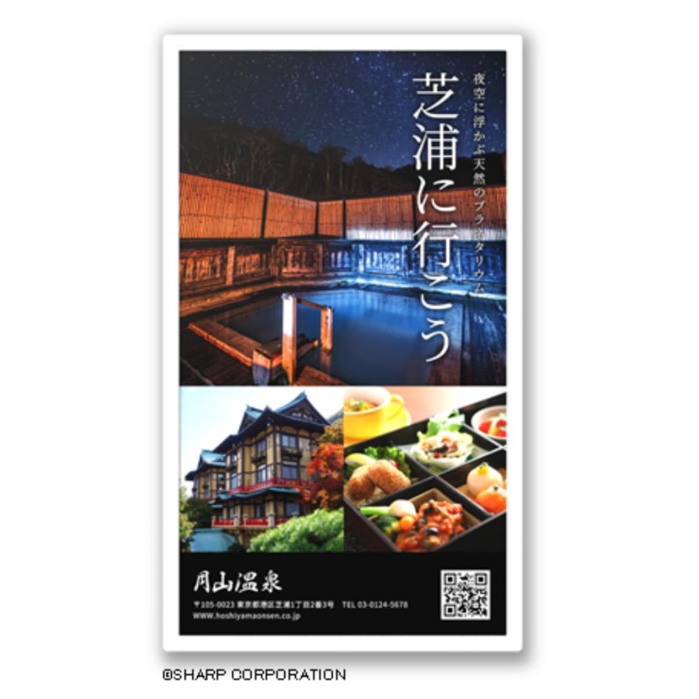小ざかしい [EP-C251] ePoster 25.3型陰電子調査報告見せびらかす