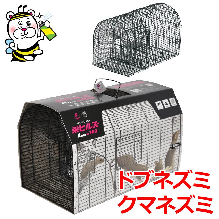 103.jpg 103.jpg