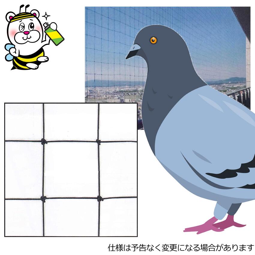 鳥害押しとどめるサイバー空間 ひな鳥 鴉 ムクドリ ヒヨドリ 黄雀 鶺鴒 縁側 工業プラント 防鳥 飛来 出しゃばる押しとどめる 止めること打つ手