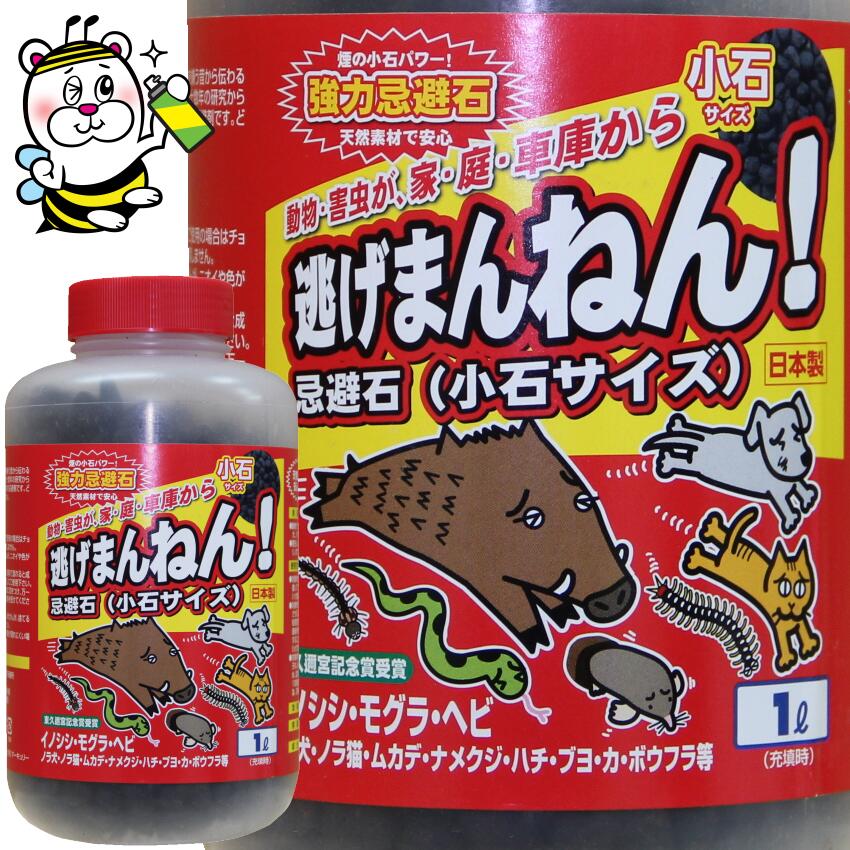 楽天市場】スズメバチの巣駆除 エアロングL 2.4〜6.8m エアロング 