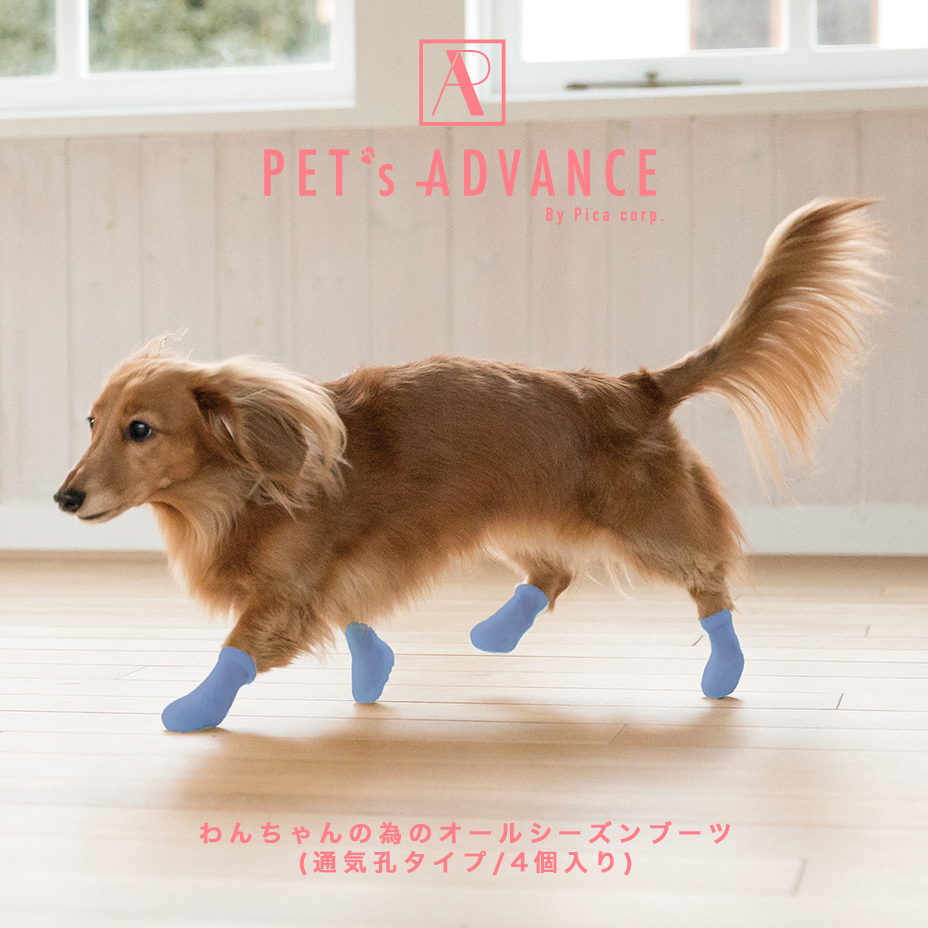 犬 靴 脱げない 履かせやすい くつ 小型 散歩 パウテクト Pawtect 犬靴 おしゃれ かわいい 可愛い 通気 涼しい 足舐め対策 肉球やけど防止 汚れ防止 滑り止め 室内 床保護 ドッグシューズ ブーツ トイプードル ダックス チワックス ブルー オレンジ ピンク 21 春 夏