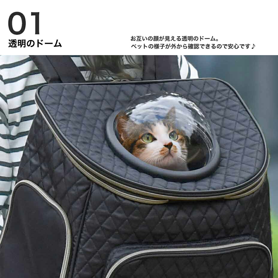 一番の 犬 リュック キャリーバッグ ペットキャリー 猫 キャリーケース リュックサック ペット 帰省 旅行 小型 お出かけ 散歩 おしゃれ かわいい  可愛い メッシュ 通気 涼しい 透明 中が見える ダックス チワックス ブラック 黒 花柄 2022 春 春夏 夏 fucoa.cl