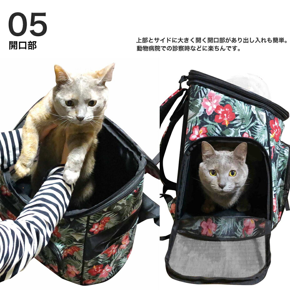 一番の 犬 リュック キャリーバッグ ペットキャリー 猫 キャリーケース リュックサック ペット 帰省 旅行 小型 お出かけ 散歩 おしゃれ かわいい  可愛い メッシュ 通気 涼しい 透明 中が見える ダックス チワックス ブラック 黒 花柄 2022 春 春夏 夏 fucoa.cl