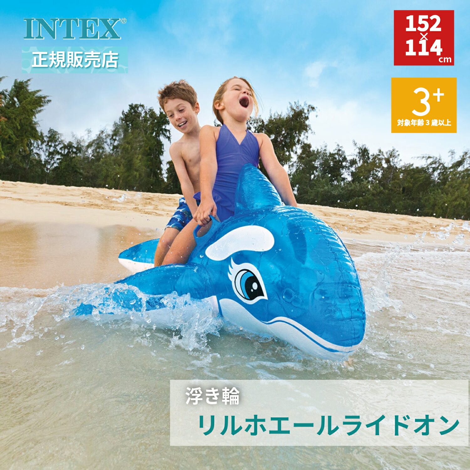 楽天市場】【11月20日20時〜セールスタート！】 INTEX インテックス