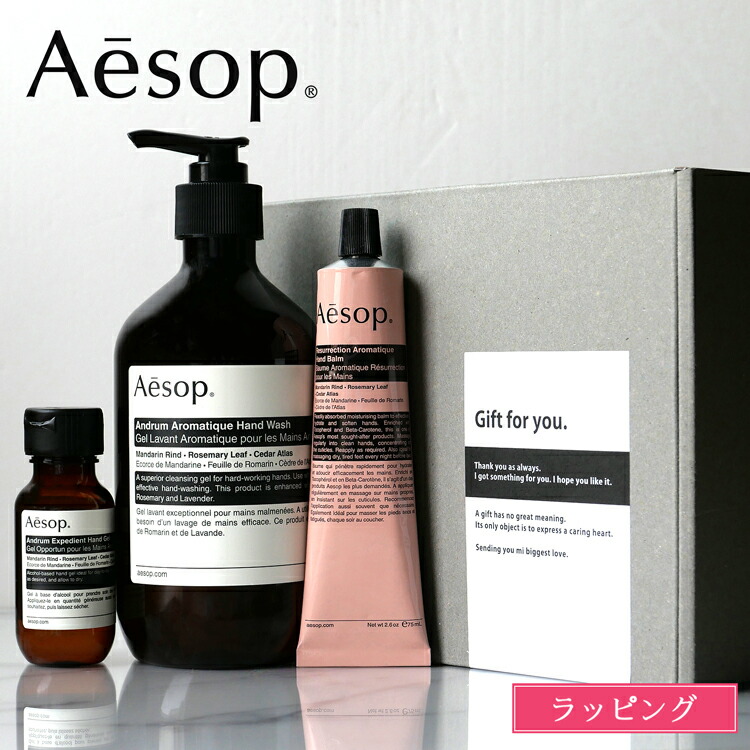 【巾着付き】［新品］Aesopイソップギフトキット スクリーン3 Aesop [ショップバッグ付属] イソップ スクリーン3 ギフトセット