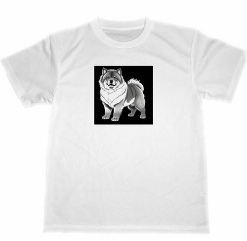 楽天市場】【 CHOW CHOW 】 チャウチャウ ZCB-47406 Tシャツ姿 サイズ