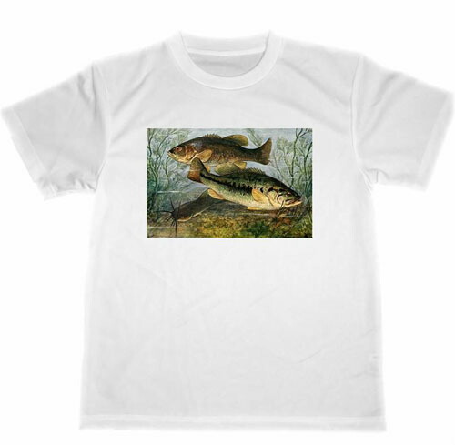 ★激レア★釣りTシャツ ブラックバス　グレー　XLサイズ ⑩ 送料無料 釣り シーバス ブラックバス ルアー 釣りバカ 釣り