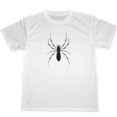 楽天市場】SPIDERWEB POCKET T-shirt BACK PRINT（スパイダーウェブ