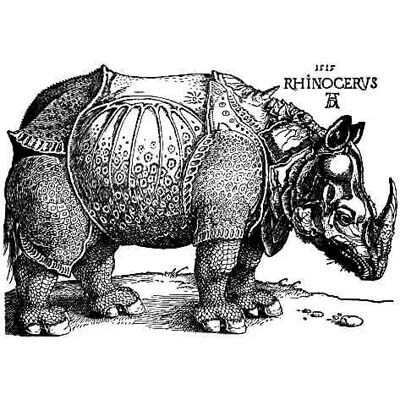 楽天市場 デューラー サイ 犀 ドライ Tシャツ アニマル グッズ 動物 Tuge9999 楽天市場店