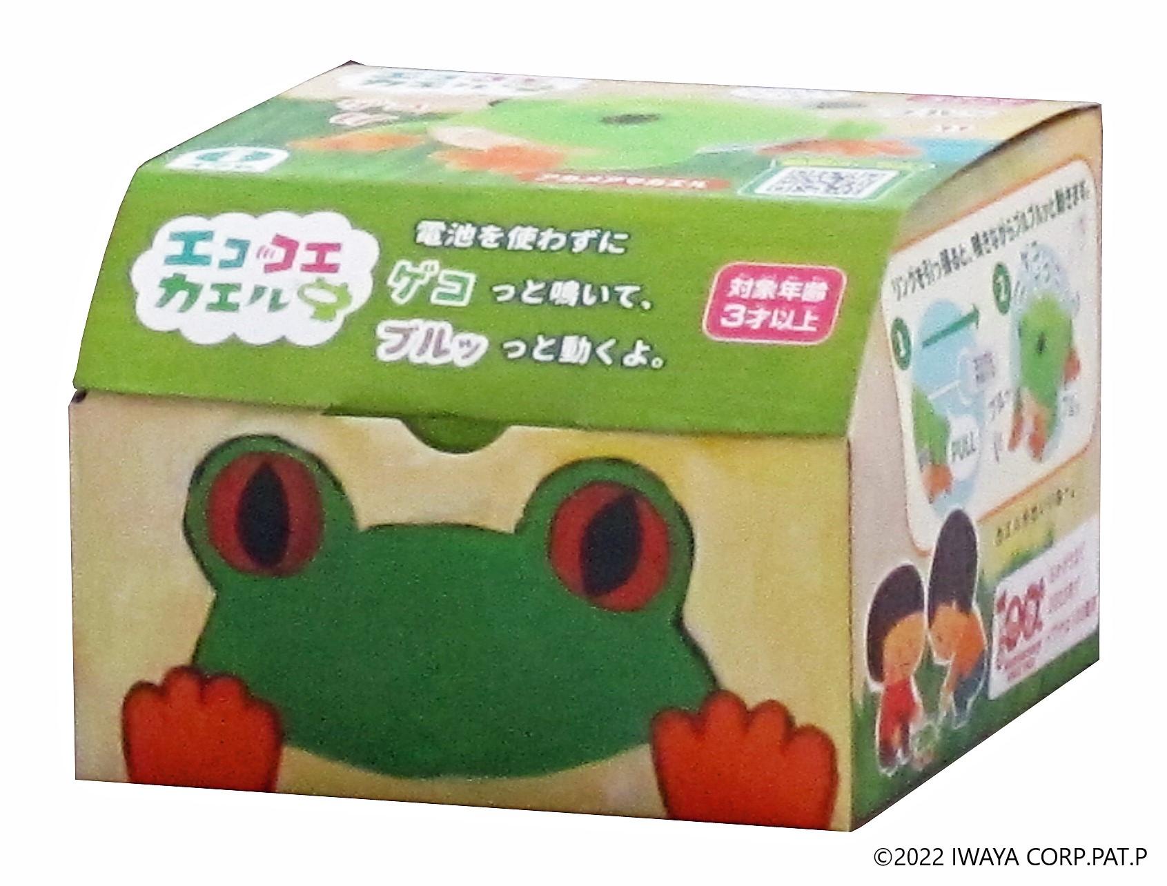 楽天市場】クツワアメガエル（約4cm） 1匹 【冬季航空便地域発送不可