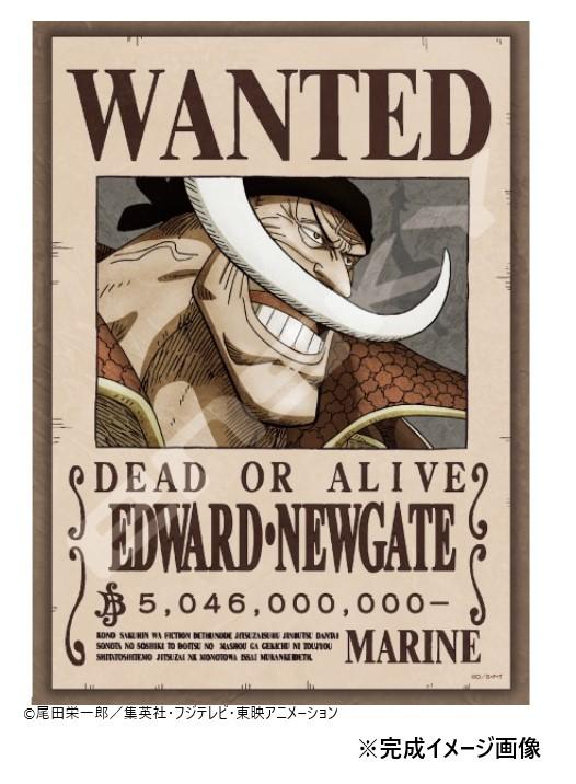 楽天市場】ジグソーパズル 208ピース ワンピース 懸賞金43億8800万