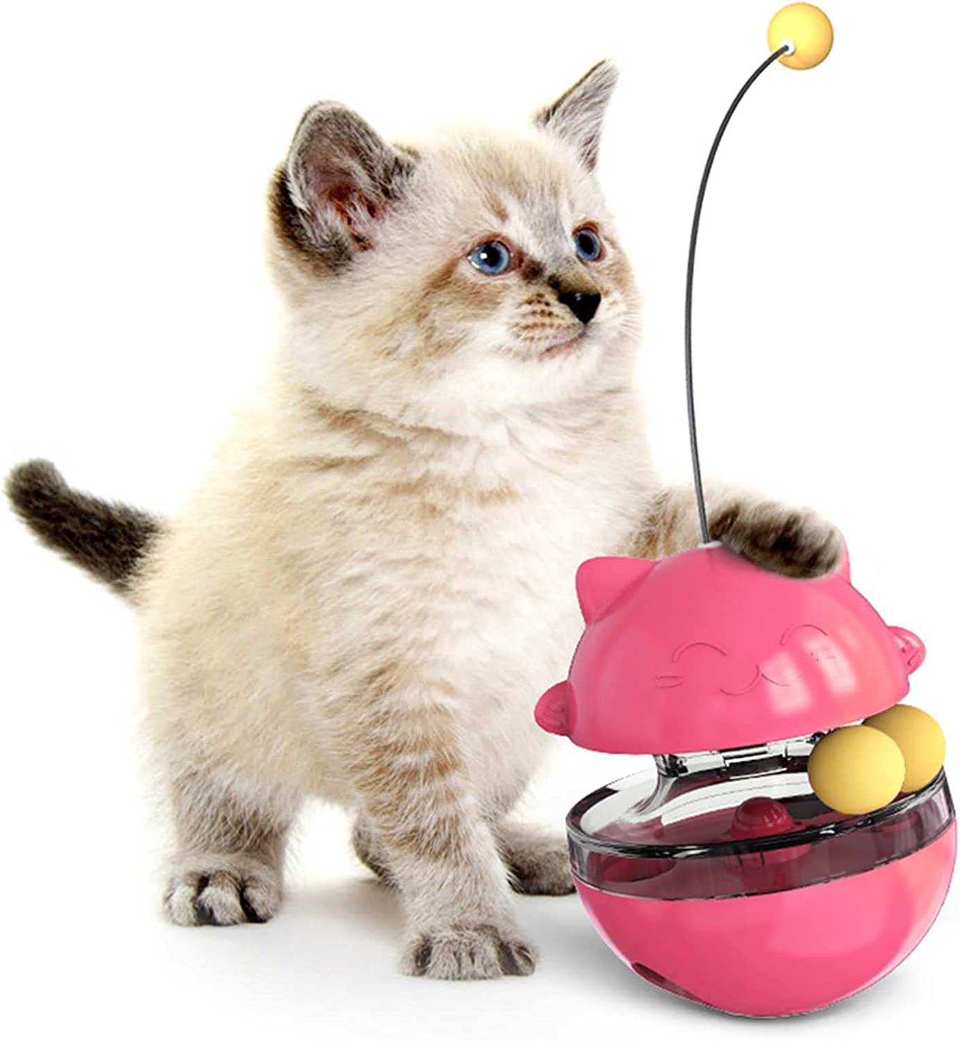 期間限定の激安セール 猫 おもちゃ ボール 餌やり玩具 猫おもちゃ 猫じゃらし 自動回転ボール 猫と遊ぶ室内運動猫用品 知育玩具 猫遊び ストレス解消 運動不足対策 猫用品 プレゼント Toothkind Com Au
