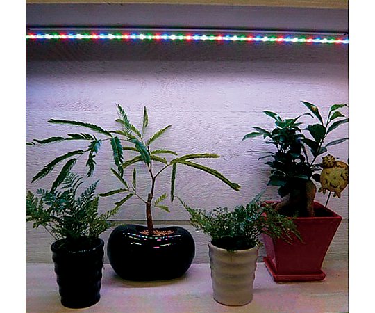 ★ポイント最大16倍★【全国配送可】-植物育成補光用＋ディスプレイ用ＬＥＤ その他 型番 - aso 2-1410-02 ●在庫品 納期約 3営業日-【医療・研究機器】