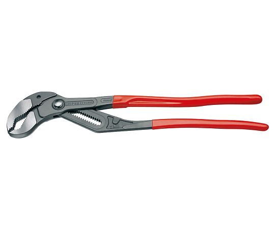 ★尖んがり最大限度16倍★【全国送りとどける可】-ウォーターポンププライヤー KNIPEXコブラ KNIPEX 型番 8701-560  JAN 4003773044321 aso 3-798-07  ●お取寄品 納期約 6取り引き日-【診療・練習曲計器】
