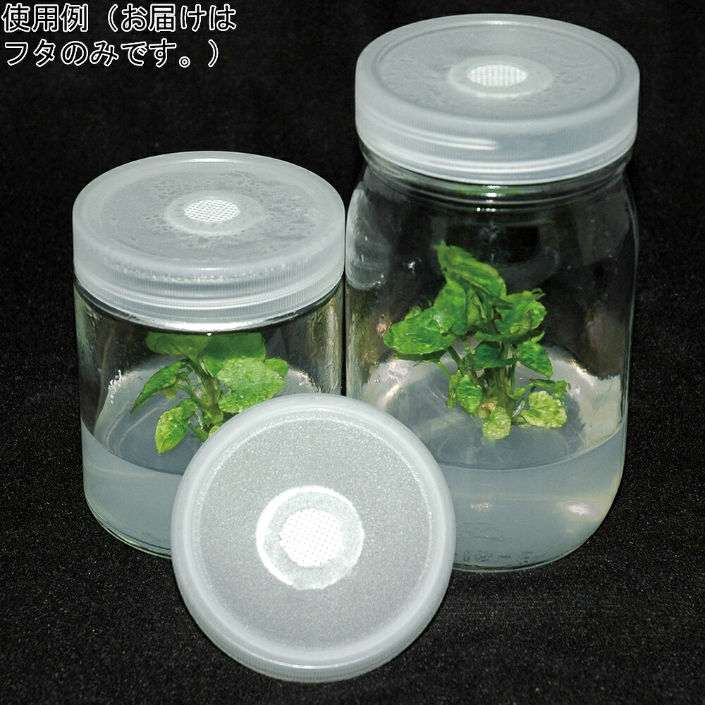 ★ポイント最大16倍★【全国配送可】-植物培養容器 ベント付きフタ 25個入 PhytoTechnology　Laboratories,　LLC 型番 C170-25EA 　JAN 4582619642957 aso 4-4848-05 ●在庫品 納期約 3営業日-【医療・研究機器】