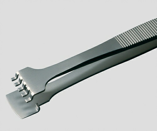 ★尖んがり最大限度16倍★【全国送りとどける可】-MEISTER毛抜き ウェファ用 幅ひろい 耐酸鋼 RUBIS 型番 41LB6/8-SA  JAN 4560111746151 aso 6-7907-09  納期約 3取り引き日-【診療・修する設備】