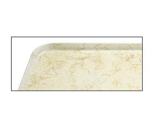 ★ポイント最大16倍★【全国配送可】-キャンブロ カムトレー 1520（526）G/A/P/G CAMBRO（キャンブロ） 型番 1807000 aso 61-6809-86 ●在庫品 納期約 6営業日-【医療・研究機器】