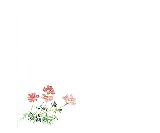 ★ポイント最大16倍★【全国配送可】-耐油懐敷 15角 秋桜 1000枚入 C33-002 マイン 型番 295243 aso 63-1768-14 ●在庫品 納期約 13営業日-【医療・研究機器】