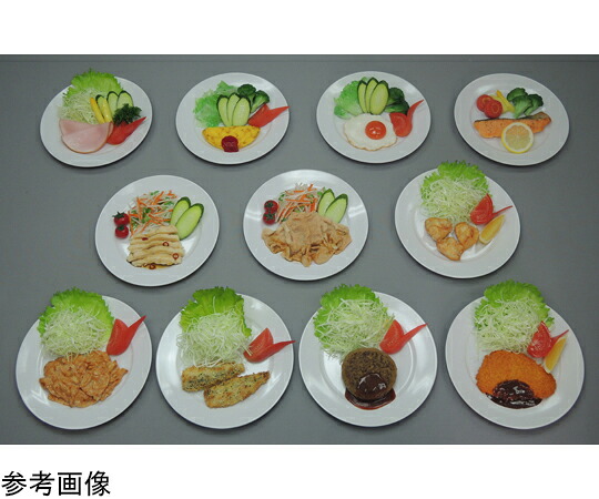 ★ポイント最大16倍★【全国配送可】-糖尿病フリーチョイス「主菜(1)」 プレーンオムレツ （磁石なし） イワイサンプル 型番 21-2 aso 65-2789-32 ●在庫品 納期約 17営業日-【医療・研究機器】
