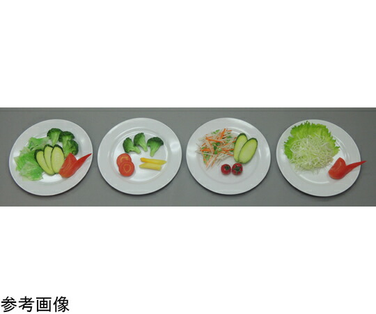 ★ポイント最大16倍★【全国配送可】-糖尿病フリーチョイス「付け合せ野菜」 付け合せ野菜 C （磁石なし） イワイサンプル 型番 22-3 aso 65-2789-45 ●在庫品 納期約 17営業日-【医療・研究機器】