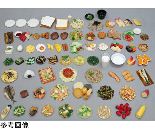 ★ポイント最大16倍★【全国配送可】-食品交換表に基づいた調理交換モデル 青椒肉絲 （磁石なし） イワイサンプル 型番 SKM-64 aso 65-2793-93 ●在庫品 納期約 17営業日-【医療・研究機器】