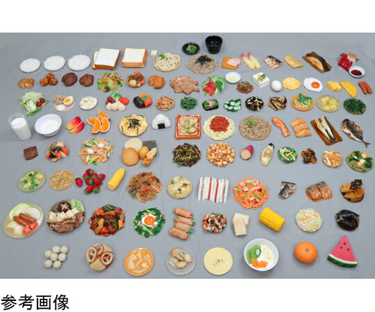 ★ポイント最大16倍★【全国配送可】-食品交換表に基づいた調理交換モデル ポトフ （磁石なし） イワイサンプル 型番 SKM-83 aso 65-2794-14 ●在庫品 納期約 17営業日-【医療・研究機器】