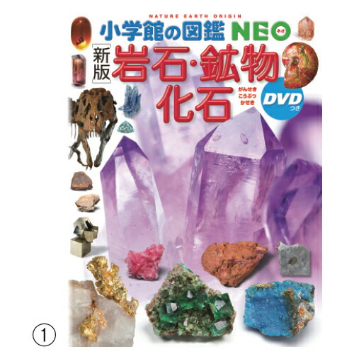 小学館の図鑑　NEO 27145_1690971288.jpg
