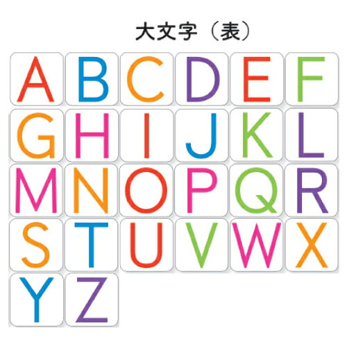★ポイント最大16倍★【教育施設様限定商品】-ed 805813 アルファベットカード（両面式） ﾒｰｶｰ名 オータケ 1628-【教育・福祉】