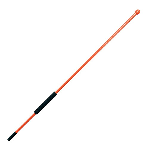 ★ポイント最大16倍★【教育施設様限定商品】-ed 808452 プレイバルーン演技補助棒 メーカー名 10107-【教育・福祉】|【文具の月島堂】店