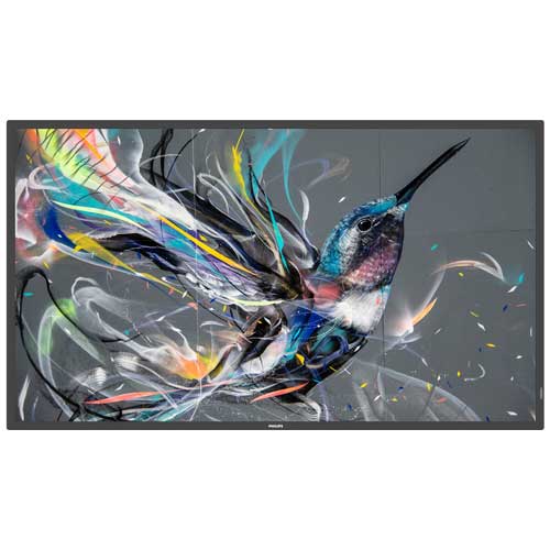 ★尖んがり最大限度16倍★【貨物輸送無料】-43型4K液晶見せびらかす 43BDL3650Q/11 ＰＨＩＬＩ 品番 43BDL3650Q/11 pls 182352-【つけ加える調度品】JAN 8712581805500