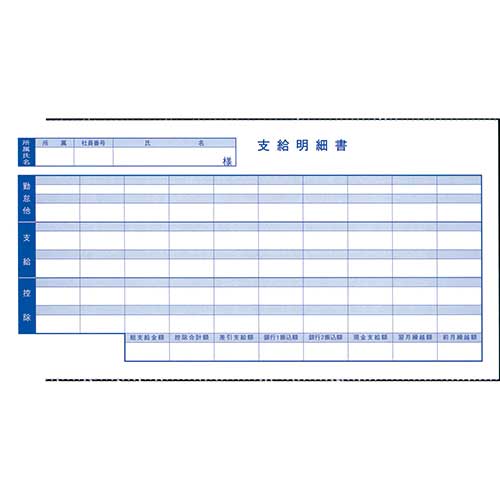 ★尖んがり最大限度16倍★【貨物輸送無料】-奉行続きもの用専用 袋とじ賃金判然たる書 6002 オービック 品番 6002 jtx 370852-【JTX・JOINTEX】JAN 4988723890855 製造会社店卸し資産品
