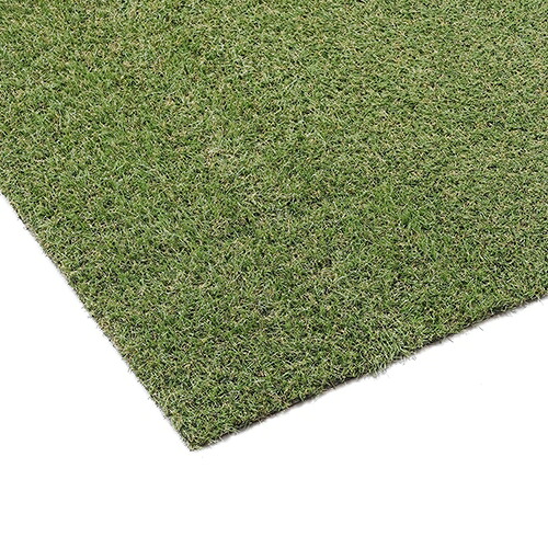 ★尖んがり最大限度16倍★【貨物輸送無料】-防草人工芝 1X10m BP-30110R 花ショウブ  品番 BP-30110R jtx 204184-【JTX・JOINTEX】JAN 4967576730709 製造業者取り寄せ品
