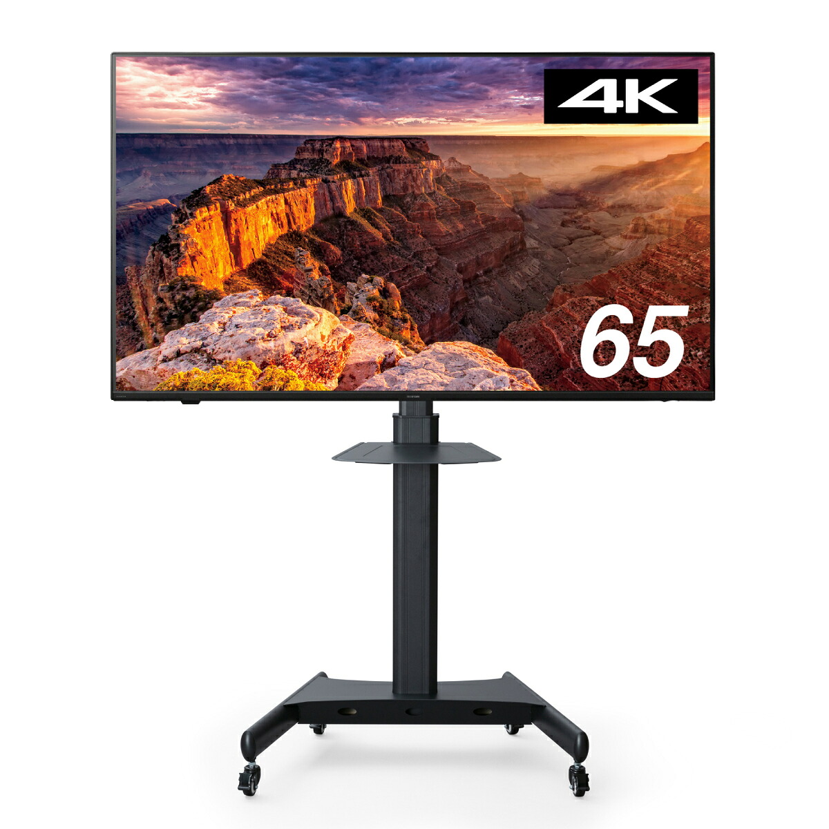 ★尖んがり最大限度16倍★【貨物輸送無料】-液晶見せびらかす65V型 照明ランプ付据え付ける込 花ショウブ 品番  pls 204345-【つけ加える調度品】JAN