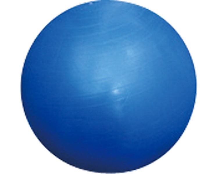 ★ポイント最大16倍★【全国配送可】-ジムボール　65cm　ブルー GYB-002 中旺ヘルス　JAN 4523059204480 kt402398 取寄品 健康管理 健康管理のその他 その他(健康管理のその他)-【介護福祉用具】