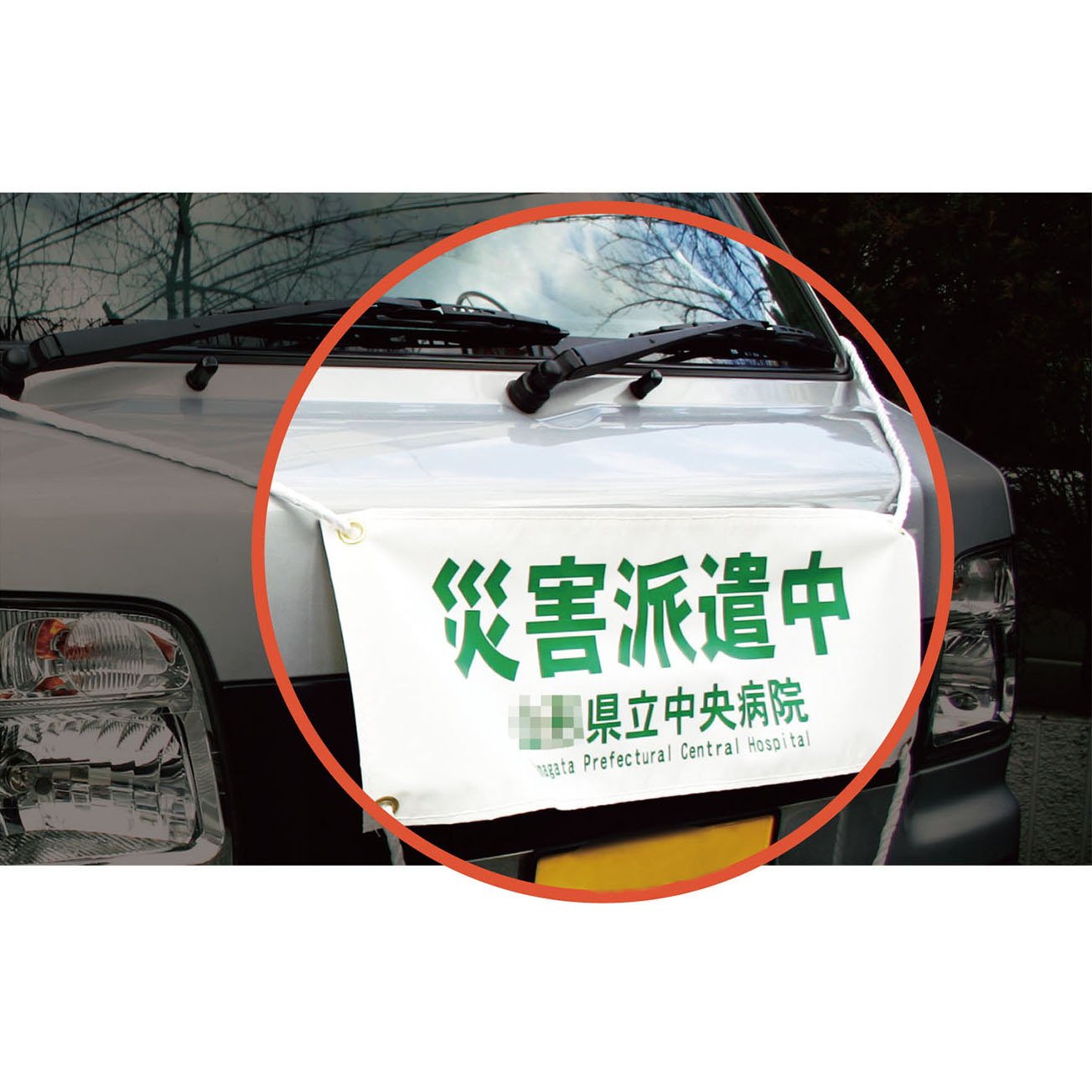 ★ポイント最大16倍★【全国配送可】-車両幕 610-1005 品番 my24-3938-01-- 1入り-【ＭＹ医科器機】JAN