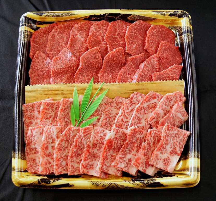 世界の人気ブランド 宮崎和牛齋藤牛もも バラ焼き肉用550g 高級焼肉 和牛肉 網焼き 鉄板焼き 肉汁 BBQ お中元 お歳暮 お取り寄せグルメ 宮崎県  fucoa.cl