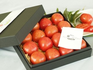 kitachi ROSSO 化粧箱入り 1.0kg 1kg 塩熟トマト 塩トマト トマト ギフト くまもと 甘い フルーツ 糖度 高糖度 完熟 食べ物 九州 野菜 おいしい 美味しい お取り寄せ お取り寄せグルメ 贈答用 プレゼント
