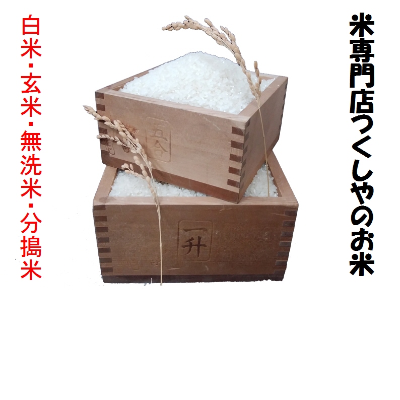 島根県隠岐藻塩米コシヒカリ（減農薬）令和元年産１等米　５ｋｇ