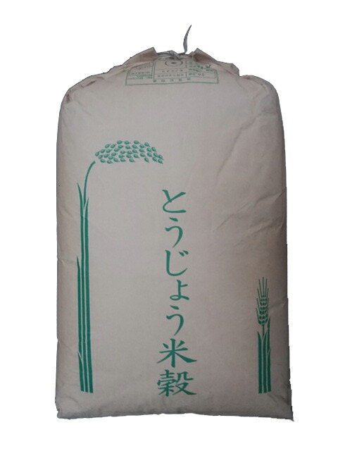 玄米 コシヒカリ 15kg(5kg×3) 福井県産 令和6年産｜玄米 |｜最短