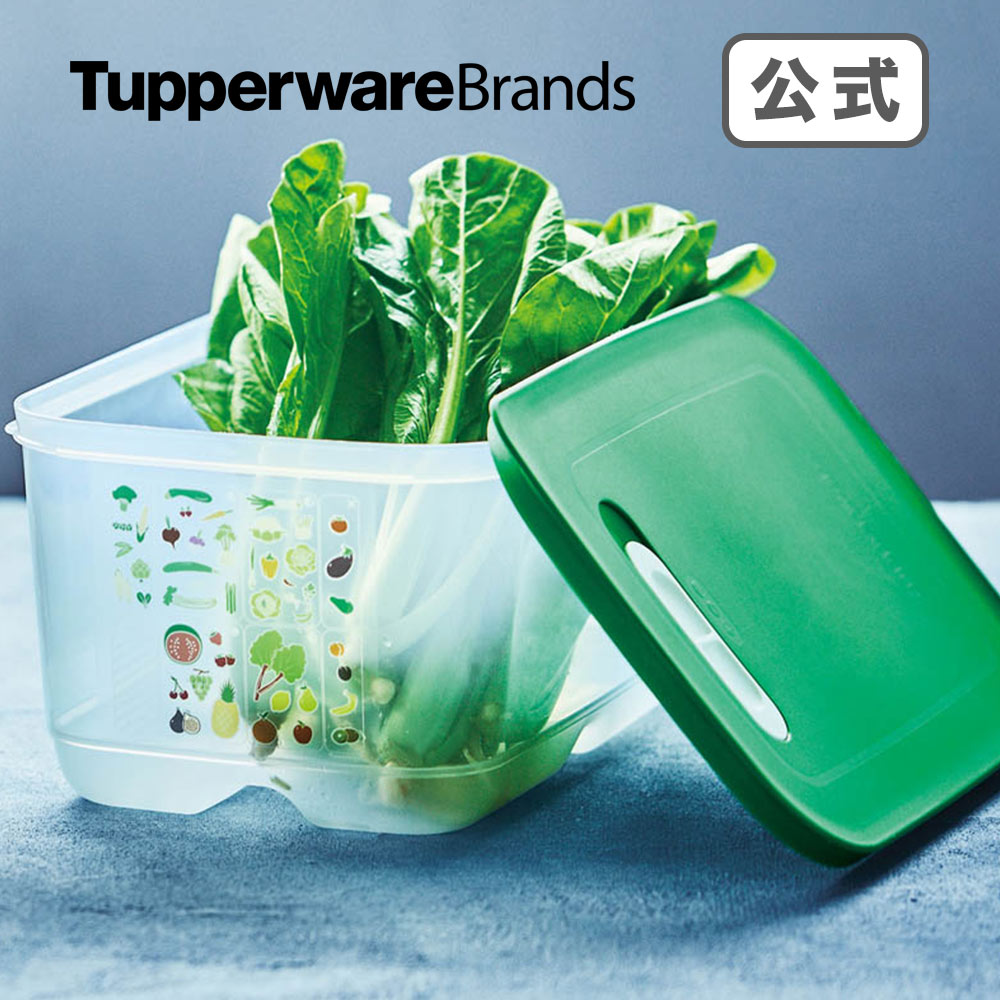 楽天市場 野菜の保存 タッパー ベントスマートｍ ２ タッパーウェア 食品保存容器 密封 長持ち キッチン用品 冷蔵庫保存 野菜 果物 鮮度を保つ タッパーウェア公式 楽天市場店