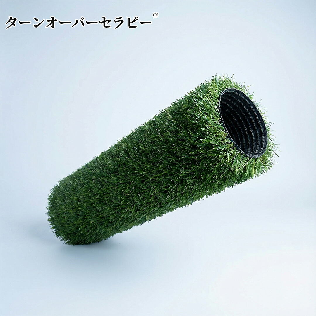 人工芝 渦状文 2マクスウェル10m 写実的感 芝丈30粍 高耐久 透水手合い 防草腰掛け 48本いの一番付き添い人 生新しい緑であること (2×10m) ZBD