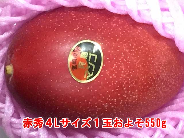 《販売発送中》<br>【限定商品】<br>宮崎産完熟マンゴー<br>【赤秀】４Lサイズ<br>１玉およそ550ｇ化粧箱入り。<br>ギフト商品<br>