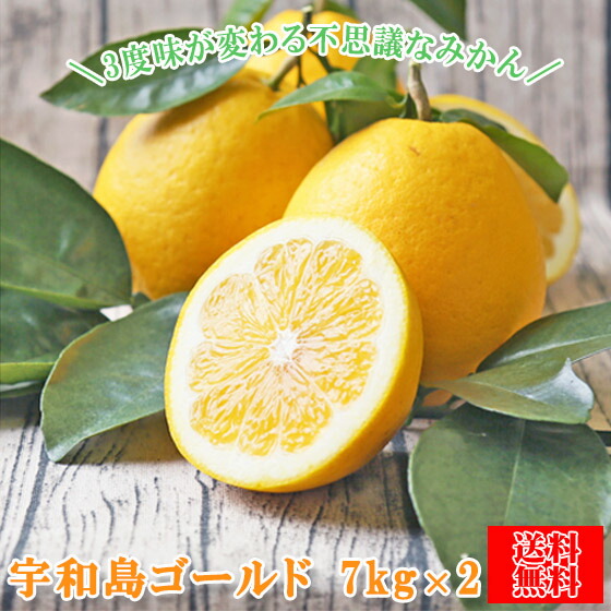 みかん　宇和島ゴールド　７ｋｇ２箱　ｆゴ０７０２　家庭用　河内晩柑　ゴールド　愛南ゴールド　美生柑　夏文旦　宇和ゴールド　フレッシュつちやま　吉田みかん　愛媛　吉田　宇和島　青果　果物　ミカン　蜜柑　柑橘　フルーツ　送料無料　訳あり